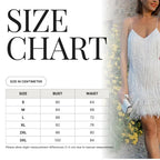 Sequin Fringe Mini Dress Shellie