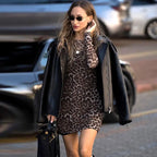 Leopard Sheer Mesh Long Sleeve Mini Dress Carilie